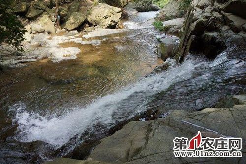 不像各大名胜那样拥堵,游客们的心境也不必那么喧闹;咱们闲庭信步游走